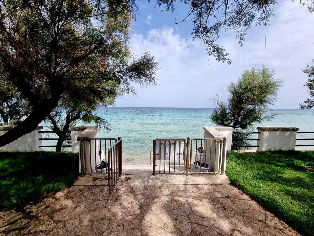 Aurelia Sea View Bed & Breakfast Torre Canne Exterior photo